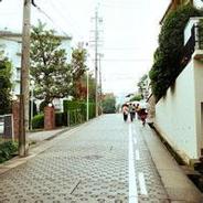 鬣狗难过岔路口