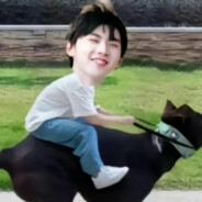 时代马戏团张真源定位