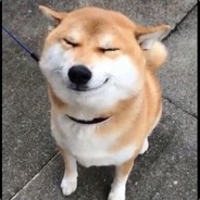 你的直肠比他温暖