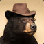 A Bear With Hats