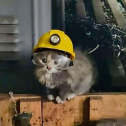 33 - steam id 76561199568265847