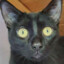 Salem