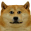 HUGEtuna