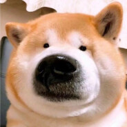 我是一只大企鹅