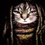 King cat
