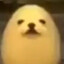 Avatar of Eggstein didn't scramble himself