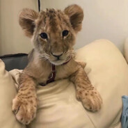 不要偷我屁股啊