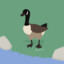 Canadian Goose Shill