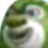 SeeSee你家后花园