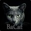 Bacat