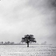 又是你这个掉毛