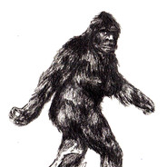 KiwiSquatch