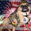 Pvt_Puggle