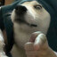 独独独独海