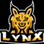 Young_Lynx