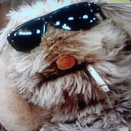Mr. Floppy - steam id 76561197960487793