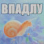 тепличный олег