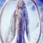 Woolly Mammoth