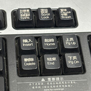 皮皮鱼开始游戏