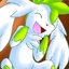 Shaymin The Sky Warrior