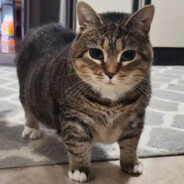 枪马了骂枪啊骂我干什