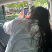 翻斗花园恬将军