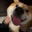 John Silent Hill 2 Shiba Ending