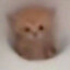☺