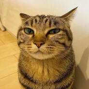 snuy- - steam id 76561198413782075