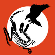 RaptorShadow