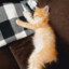 dima.bredihin2