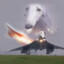 F-BVFA Concorde Greyhound