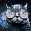 Space_Cat935