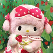 Aaa苏州草莓🍓农场直发