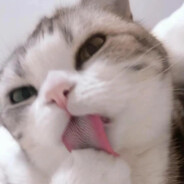 无敌的玛卡巴卡