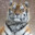 [Mr.] Hardy