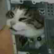 grug