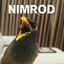Nimrod..!!
