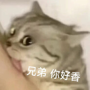 货拉拉拉不拉拉布拉多