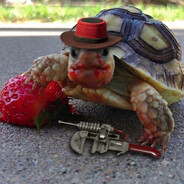 Аватар engi-turtle