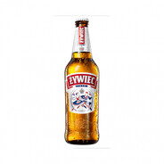 ŻYWIEC