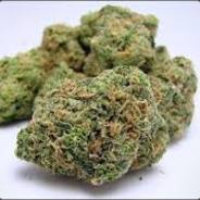 SMOKE WEED #WIESZ_CO_SIE_KRUSZY