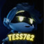 TESS762