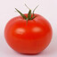 Pomidor