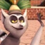 KingJulien&#039;sFeet