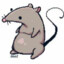 GiantRatPP