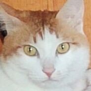 越好吃的东西越好吃