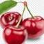 Podir228