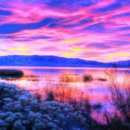 戴高帽掌大勺&军厨