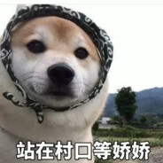 村儿里的希望